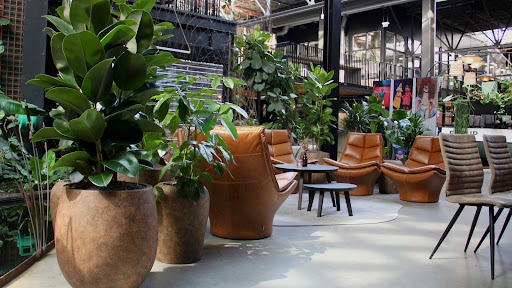 Groen op kantoor als bewuste keuze voor werkomgeving